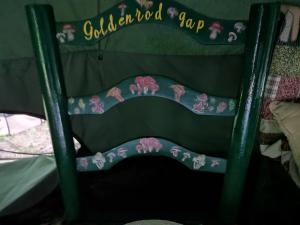 a green bunk bed with a ladder in a room at Goldenrod Gap in Wellington +8 photos