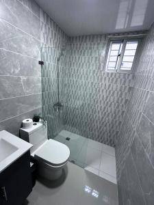 a bathroom with a toilet and a shower and a sink at Elegant and comfortable and exclusive first level in Santo Domingo