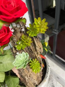 a potted plant with red and green flowers in a vase at Homestay giữa trung tâm Hải Phòng in An Dương