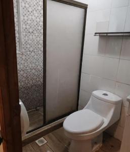 a bathroom with a white toilet and a shower at Casa hospedaje en el campo in Temuco