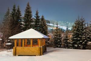 Fotografie z fotogalerie ubytování Villa Buko v destinaci Bukovel