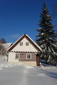 MausHaus v zimě