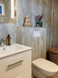 a bathroom with a sink and a toilet and a mirror at Panoramic Cabin With Sea View On Randøy in Hjelmeland +21 photos