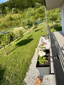 a garden with some plants on a balcony at Valmaris in Râmnicu Vâlcea