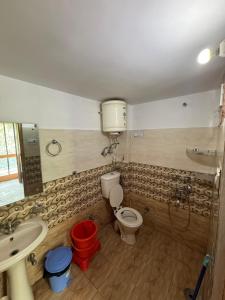 a bathroom with a toilet and a sink at Gound Floor Studio Appartment in Kulu