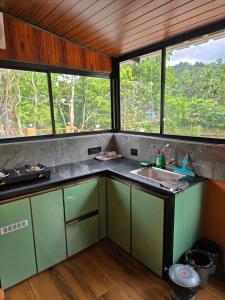 a kitchen with green cabinets and windows and a sink at River Portico in Tenmalai +27 photos