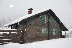 una cabina con un gatto nero seduto sul tetto nella neve di Holzhaus in Hinterstoder a Hinterstoder