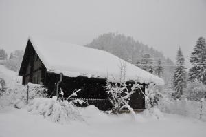 Holzhaus in Hinterstoder durante l'inverno