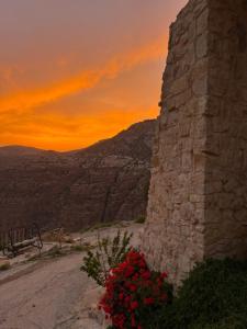 a bunch of flowers next to a stone wall with a sunset at Dana panorama-green camp in Dana