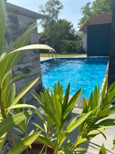 a swimming pool in a yard with green plants at Vikendica Golubicanka in Bihać +11 photos