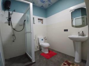 a bathroom with a toilet and a sink and a mirror at Avona Villa in Bopitiya +15 photos