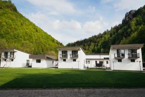 a building with a grassy yard in front of a mountain at WhiteBergHaus Colibita in Colibiţa