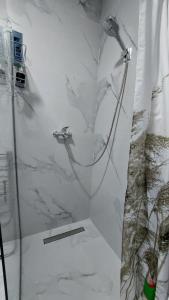 a bathroom with a shower with a glass door at D&M Lux1 in Podgorica +24 photos