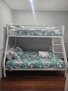 a bunk bed with a cat on the bottom bunk at AAOK Riverdale Caravan Park in Bundaberg