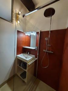 a small bathroom with a sink and a shower at Logement authentique et facile d'accès in Sermoise