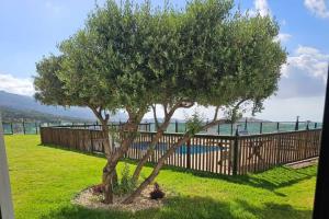 a tree in a yard next to a fence at Velen Harmony- בקתות מושלמות עם בריכה במתחם in ‘Ein el Asad