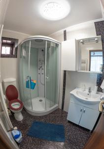 a bathroom with a shower and a toilet and a sink at Elegant Private Villa with 3 Bedrooms, Office, and shared courtyard, Perfect for 8 Guests in Piteşti +15 photos