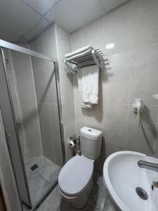 ein Badezimmer mit Toilette, Dusche und Waschbecken in der Unterkunft KONAK HOTEL 2 in Kars
