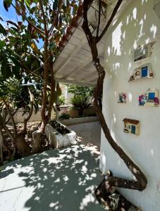 a building with a tree in the middle of a yard at Stone & Sea Retreat in Órmos Marathokámpou