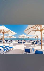 a group of chairs and umbrellas on a beach at اهرمات بورتو السخنه in Madinaty