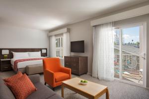 サニーベールにあるCorporate Inn Sunnyvale - All-Suite Hotelのベッド、ソファ、窓が備わるホテルルームです。