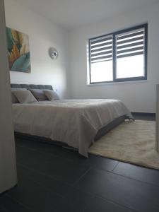 a bed in a white room with a window at Marcus Residence Apartment in Satu Mare