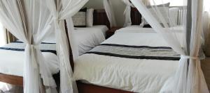 two beds in a bedroom with white curtains at Blue Water Resort in Diani Beach