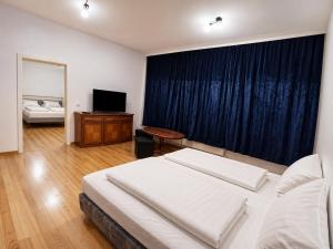 a bedroom with a large bed and a television at Ferien Wohnung in Chemnitz
