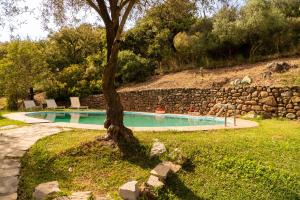 a swimming pool with a tree and a stone wall at Finca Santa Teresa, Casa Grande in Estepona +25 photos