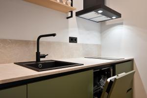 a kitchen with a sink and a counter top at Albatross Home in Ķesterciems