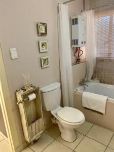 a bathroom with a white toilet and a bath tub at Warbler's Haven in Wakkerstroom +34 photos