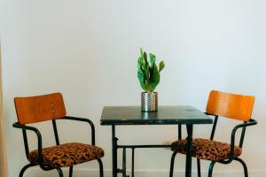 a table with two chairs and a vase with a plant at Salty in Essaouira