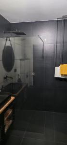 a bathroom with a shower and a sink and a mirror at Apartament z ogrodem Cyprysowy zakątek in Oświęcim
