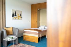a small room with a bed and a chair at Appartement Bergluft in Sasbachwalden