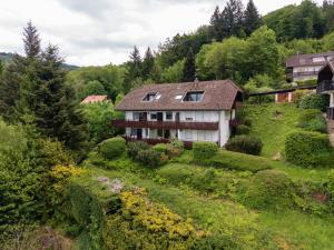 an aerial view of a house on a hill at Appartement Bergluft in Sasbachwalden