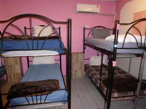 two bunk beds in a room with pink walls at Pink Hostel in Ko Tao