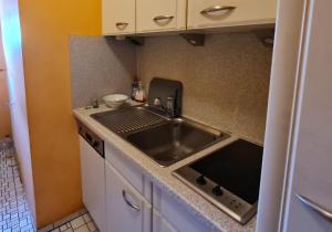 a kitchen with a sink and a counter at Moselbrücke - Serviced Apartments in Wincheringen