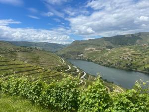 a view of a river in a valley with vineyards at Cozy House with Douro View in Lamego