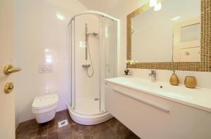 a bathroom with a shower and a toilet and a sink at Villa San Vista with pool in Sveti Vid-Miholjice