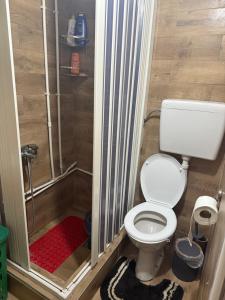 a small bathroom with a toilet and a shower at Ambijent house Patrijaha Pavla 22 in Železnička Stanica Ovčar Banja