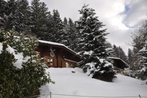 Chalet Edelweiss durante l'inverno
