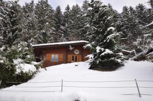 Chalet Edelweiss durante l'inverno