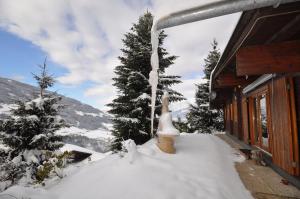 Chalet Edelweiss durante l'inverno