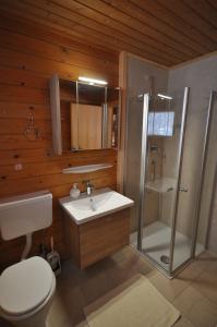 een badkamer met een toilet, een douche en een wastafel bij Chalet Edelweiss in Weerberg