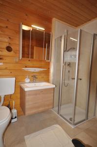 a bathroom with a shower and a sink and a toilet at Chalet Edelweiss in Weerberg