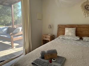 a bedroom with a bed with a box on it at Can Mimosa Guesthouse in Tortosa +57 photos