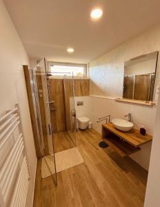 a bathroom with a shower and a toilet and a sink at Theodora Apartman in Zánka