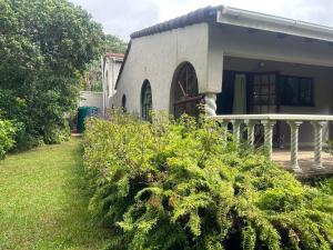 a house with a bunch of bushes in front of it at 46 Minerva Avenue in Pennington