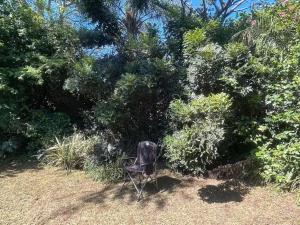 a chair sitting in the grass near some bushes at 46 Minerva Avenue in Pennington