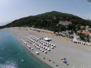 Gallery image of Golden Beach Hotel in Agiokampos